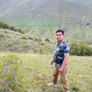 ���������� ������, ���� ������� Hamayoon, 37 ���, ������������ ��� ������, ����� � ���������