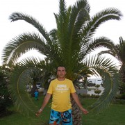  ,   , 41 ,   ,   , c , 