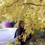 ���������� ����, ������� �������, 44