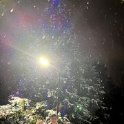 ���������� ������, ���� ����� �����, 24 ����, ������������ ��� ������, ����� � ���������