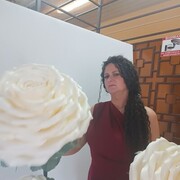  ,   , 41 ,   ,   , c , 