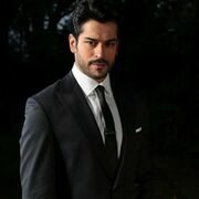 ���������� ����-�����, ������� �������, 39