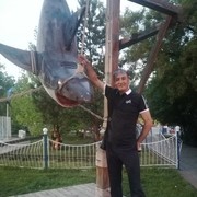 ���������� ������, ���� ������� ������, 43 ����, ������������ ��� ������, ����� � ���������, c�������� ���������