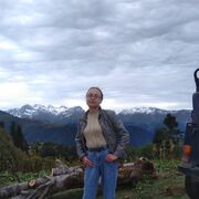   ,   , 51 ,   ,   