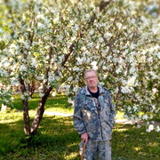 ���������� ���������, ���� ������� �����, 62 ����, ������������ ��� ������, ����� � ���������, c�������� ���������