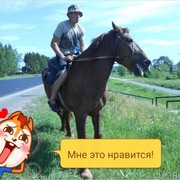 Знакомства Мошково, фото мужчины Николай, 45 лет, познакомится для флирта, любви и романтики, cерьезных отношений