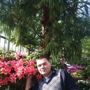 ���������� �����-���������, ���� ������� ��������, 49 ���, ������������ ��� ������, ����� � ���������