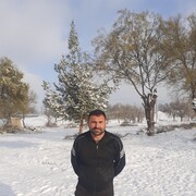 ���������� �������, ���� ������� �������, 43 ����, ������������ ��� ������, ����� � ���������, c�������� ���������