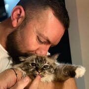 ���������� �����-���������, ���� ������� ���������, 36 ���, ������������ ��� ������, ����� � ���������