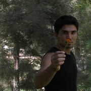  ,  farrukh, 36