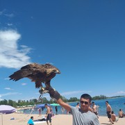 ���������� ������, ���� ������� ������, 37 ���, ������������ 