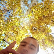 ���������� ����-���, ���� ������� ���������, 35 ���, ������������ ��� ������, ����� � ���������, c�������� ���������