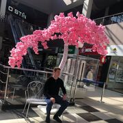  ,   , 47 ,  