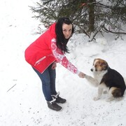 ���������� �����-���������, ���� ������� �������, 37 ���, ������������ ��� c�������� ���������