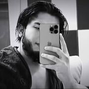  -,   CARLION, 24 ,   ,   