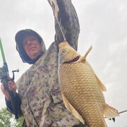 ���������� ���������, ���� ������� ������, 45 ���, ������������ ��� ����� � ���������, c�������� ���������