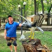  ,   , 41 ,   ,   , 