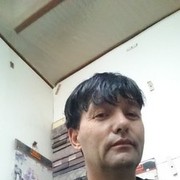  -,   , 51 ,   ,   , c 