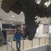 ���������� ������, ���� ������� ���������, 42 ����, ������������ ��� ������