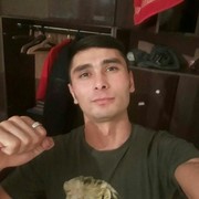  ,   Sardor, 33 ,   ,   , c 