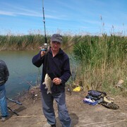 ���������� ������, ���� ������� �������, 61 ���, ������������ ��� ����� � ���������, c�������� ���������