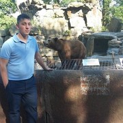 ���������� �����������, ���� ������� ��������, 38 ���, ������������ ��� ������, ����� � ���������, c�������� ���������