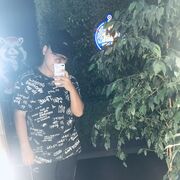  Novy,   , 23 ,   ,   