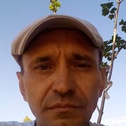  -,   , 49 ,   ,   