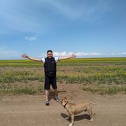 ���������� ������, ���� ������� �������, 41 ���, ������������ ��� ������, ����� � ���������