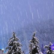 ���������� ����, ���� ������� �����, 41 ���, ������������ ��� ����� � ���������, c�������� ���������