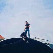 ���������� ������, ���� ����� ������, 24 ����, ������������ ��� ������, ����� � ���������, c�������� ���������, ���������