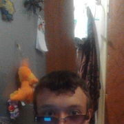  --,   , 31 ,   