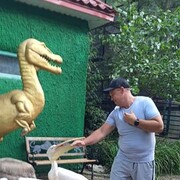 ���������� ������, ���� ������� ��������, 42 ����, ������������ ��� ������, ����� � ���������, c�������� ���������