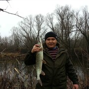 ���������� ������, ���� ������� ���������, 39 ���, ������������ ��� ������, ����� � ���������, c�������� ���������