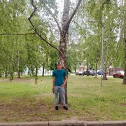 ���������� ������, ���� ����� ����, 20 ���, ������������ ��� ������, ����� � ���������