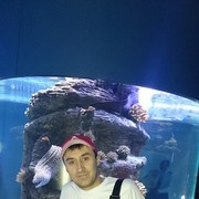  ,   , 39 ,  