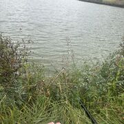 ���������� �������, �����