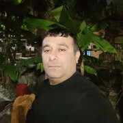  ,   , 41 ,   ,   