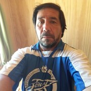  -,   , 55 ,   ,   , c 