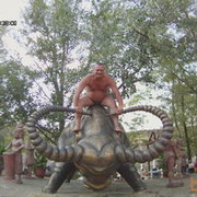 ���������� ������-��-����, ���� ������� ���� ���, 50 ���, ������������ ��� ������, ����� � ���������, c�������� ���������