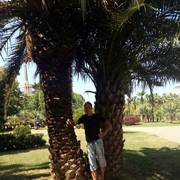 ,   , 28 ,     , c 
