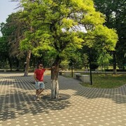  ,   , 41 ,   ,   