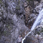 ���������� �������, ���� ������� Roma, 49 ���, ������������ ��� ������, ����� � ���������