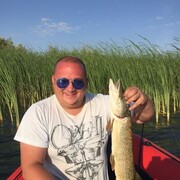 ���������� ������, ���� ������� ��������, 42 ����, ������������ ��� ������, ����� � ���������, c�������� ���������