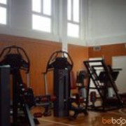  ,   , 41 ,   
