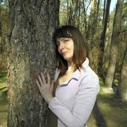  ,   , 52 ,     , 
