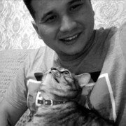 ���������� ���������, ���� ������� ���������, 33 ����, ������������ ��� ������, ����� � ���������