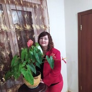  ,   , 58 ,  