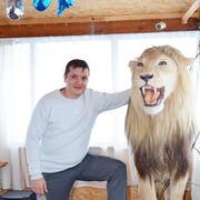 ���������� ������������, ���� ������� Dorova, 35 ���, ������������ ��� ������, ����� � ���������, c�������� ���������