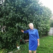  ,   , 67 ,   ,   